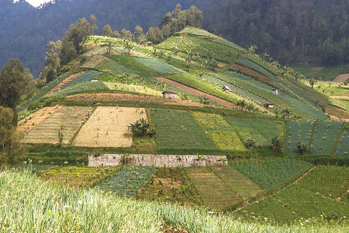 10 Best Things To Do In Paris: Experience The Magic Like A Local