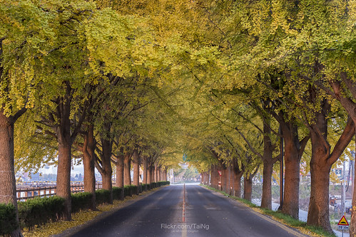 nikon d810 korea 韓國 - 10 Best Things To Do In Paris: Experience The Magic Like A Local