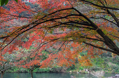 autumn niceshot korea nationalgeographic fotoclub finegold sailthesevenseas peaceaward flickrbronzeaward heartawards betterthangood artofimages photographyforrecreationbronzeaward traunmanifestoelospecchio - 10 Best Things To Do In Paris: Experience The Magic Like A Local