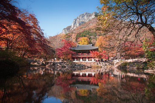 baegyangsa, temple, fall, autumn, lake, water, reflection, trees, mountain, park, scenic, south korea, south korea, south korea, nature, south korea, south korea, south korea - 10 Best Things To Do In Paris: Experience The Magic Like A Local