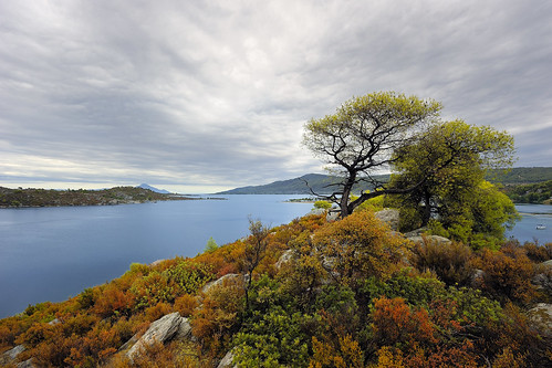 greece - 10 Best Things To Do In Paris: Experience The Magic Like A Local