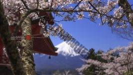 10 Unforgettable Places to Visit in Japan (Hidden Gems & Iconic Spots)